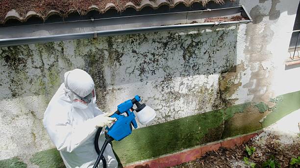 Top rated local Commercial Mold Remediation specialists in Thorndale, PA